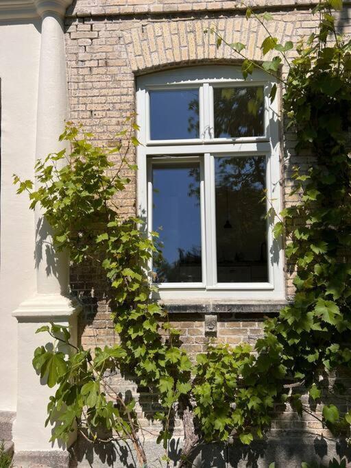Idyllisches Appartement Nahe Ostsee Und Schlei Rabenkirchen-Faulück Exterior foto